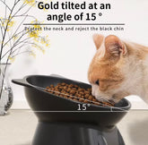 KUTKUT Elevated Pet Bowl for Dogs and Cats, Tilted Food and Water Dish, Anti-Spill Design